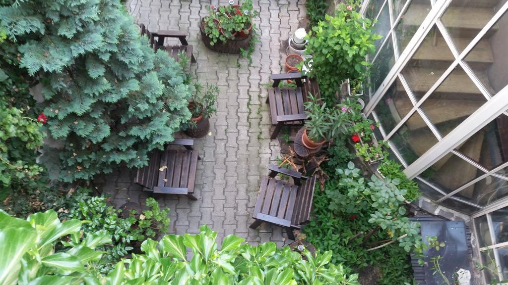 مبيت وإفطار Târgu-Mureş Vila Monica المظهر الخارجي الصورة