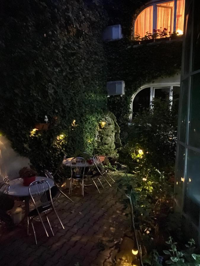 مبيت وإفطار Târgu-Mureş Vila Monica المظهر الخارجي الصورة