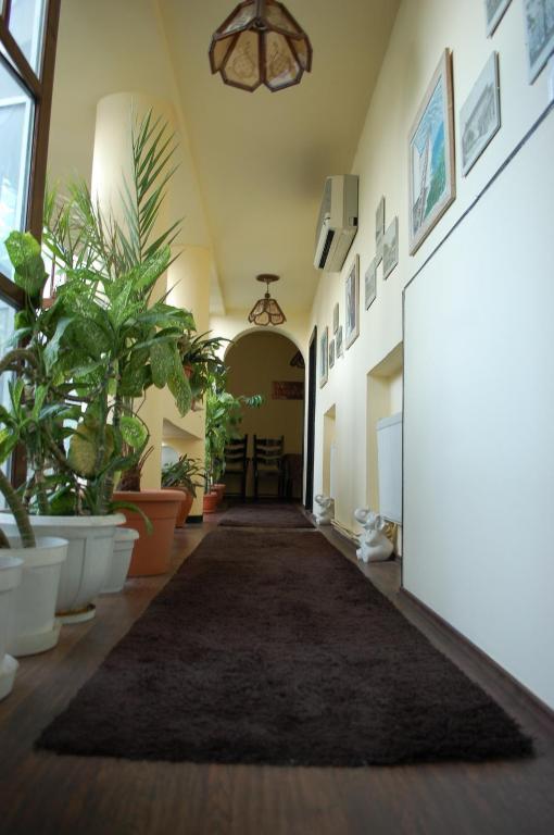 مبيت وإفطار Târgu-Mureş Vila Monica المظهر الخارجي الصورة