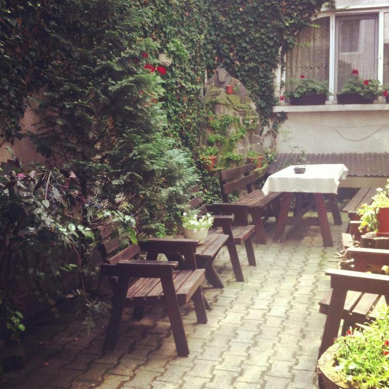 مبيت وإفطار Târgu-Mureş Vila Monica المظهر الخارجي الصورة